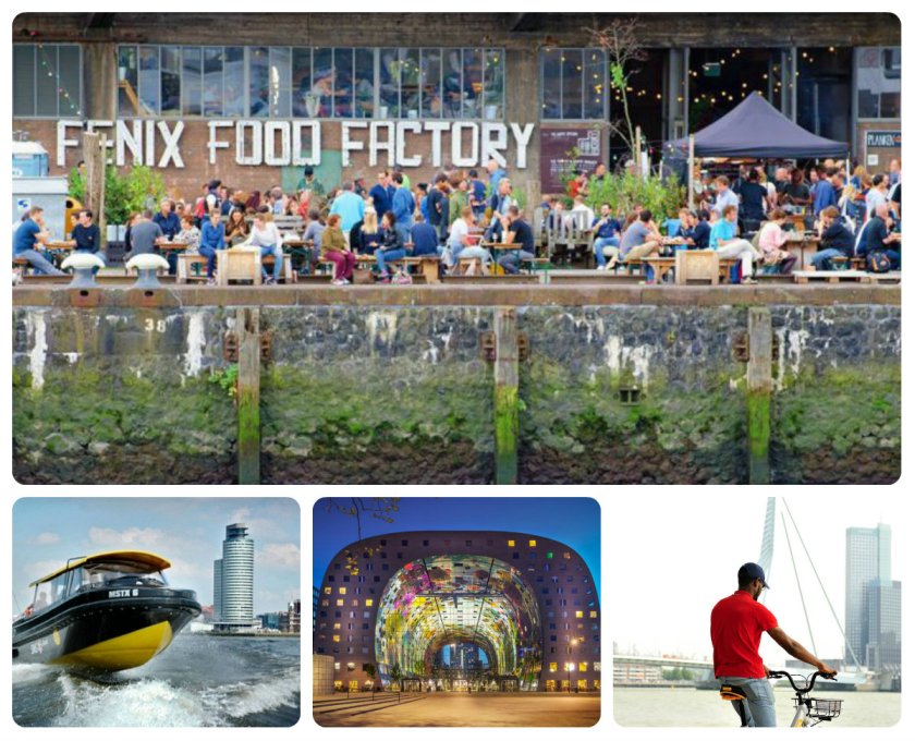 Rotterdam Fenix Food Factory